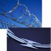 Galvanized Barbed Wire